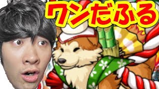 【ポコダン】新春に駆ける祝賀戌『正月限定スペシャル襲来！十八公』