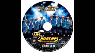 amor limosnero los huaches cd vip