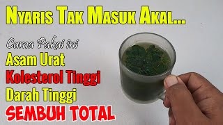 JUTAAN ORANG BELUM SADAR, PADAHAL TUMBUHAN INI SERING DIBUAT SAYUR BENING DAN RASANYA ENAK BANGET