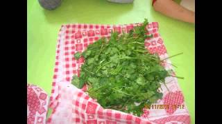 Karkandak