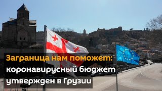 Заграница нам поможет: коронавирусный бюджет утвержден в Грузии