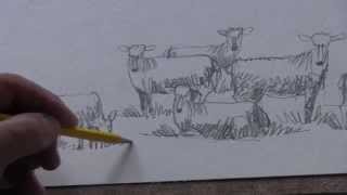 Drawing sheep - a teaching video with Alek Krylow