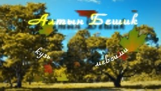 Эфирная программа "Алтын Бешик". Детский мир художеств.
