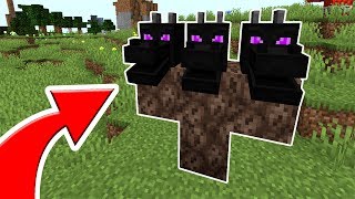 3 СПОСОБА ЗАТРОЛИТЬ ДРУГА В MINECRAFT | КАК ПРИРУЧИТЬ ЭНДЕР ДРАКОНА МАЙНКРАФТ ЭНДЕР DRAGON MINECRAFT