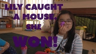 LILY CAUGHT A MOUSE, NEW TOY, DESSERTS AND TIRE POPPED