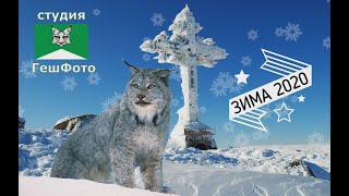 Siberia: Шерегеш, Зима 2020