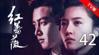 红蔷薇 42丨Wild Rose 42（主演:杨子姗,陈晓,毛林林,谭凯）【TV版】