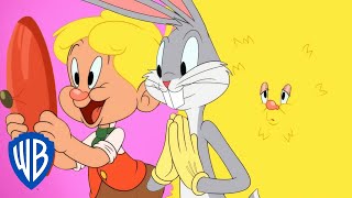 Looney Tunes en Latino | La primera cita de Elmer con pelo | WB Kids