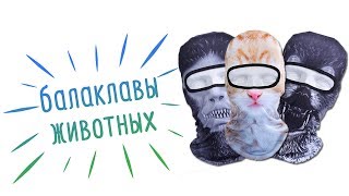 Обзор балаклав животных