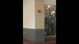 Wonderland of the Americas FIRE ALARM!!!