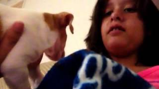Jgirls dog