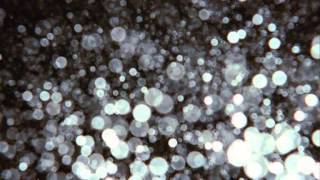 Softspot - Run (Air Cover)