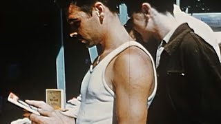The Peak Years (1940-1953) - History of Communism