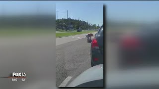 Woman beats another driver in middle of Florida roadway
