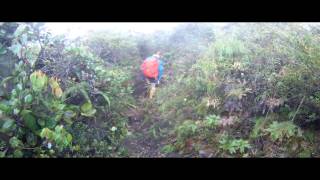 SKL - Hiking to Korbu (2183m) & Gayung (2173m), Perak, Malaysia. (Video-78)
