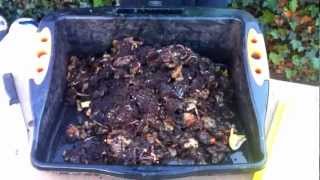 Solving wormery problems