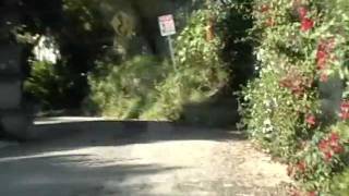 Benedict Canyon Drive in Beverly Hills.