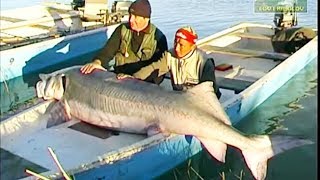 БЕЛУГА 300 кг – на спининг!!! Казахстан. это вам не рыбалка на щуку