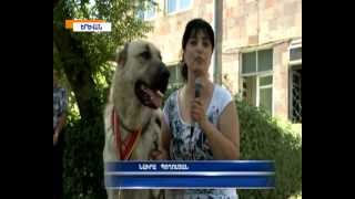 HAYKAKAN GAMPR ՀԱՅԿԱԿԱՆ ԳԱՄՓՌ