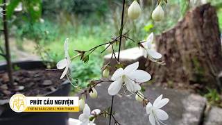 Phút Cầu Nguyện, Thứ Ba 04/02/2020:  Học Cách Sử Dụng Ngôn Từ