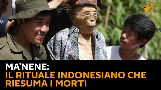 Ma’nene, il rituale indonesiano che riesuma i morti