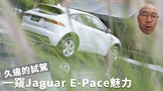 【#網猴去哪裡】Baby Jaguar真的很Baby嗎？