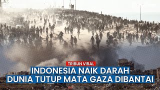 Kemlu RI Kecam Israel yang Tembak Warga Sipil Palestina di Gaza