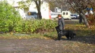 Занятия по ЗКС с вео