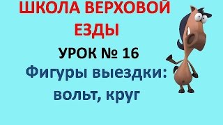 Фигуры выездки: вольт, круг