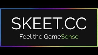 First video in years ft. Skeet.cc and Pasteware