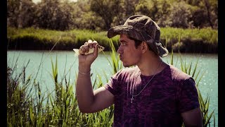 Рыбалка на карасей, кувыркающаяся лошадь, подглядываем за рыбками
