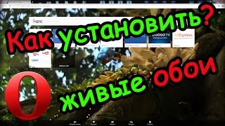 Как установить живые обои для браузера Opera