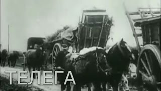 Российская империя, Николай II: финансовая игла. Телега.