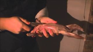 Old Timer Sharpfinger: Squirrel Skinning