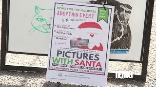 City of San Bernardino Animal Shelter adoption event