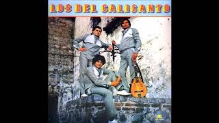Los del Calicanto - Los del Calicanto   (1985)