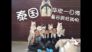 Thailand 泰国 │ HuaHin 华欣一日游 │  曼谷 疯狂购物 │Husky 哈士奇主题咖啡厅 │ GoPro Hero 5 Black │Feiyu Tech G6