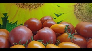 О рассылке заказов на 10 января. 