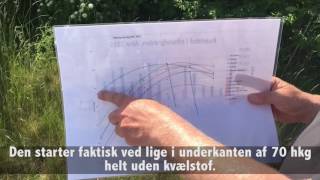 Erik Sandal LMO -  Eftervirkning af efterafgrøder på vårbyg