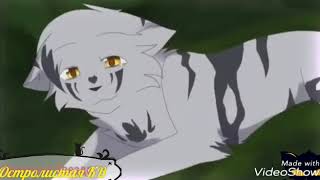 Коты-Воители / Warriors cats  Звёздное племя/ Star tride