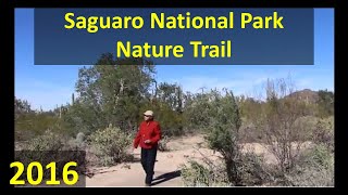 Saguaro NP West, Nature Trail, January 2016.