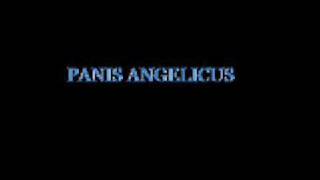 PANIS ANGELICUS piano, MR