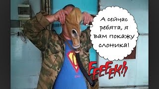 Вешенки. Комплексная дезинфекция грибного помещения