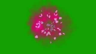 Green Screen Butterflies Explosion HD |Free Online Video