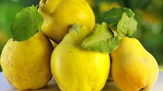 Секретики АЙВЫ!