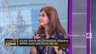 Pak Jokowi, Ini Alasan Bank "Ragu" Beri Kredit Proyek Smelter