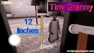 Tiny Granny Full Gameplay