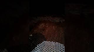 Моите Бен 10 фигурки