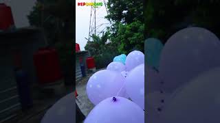 BUAT JEMBATAN DARI BALON #shortvideo #shortvideo #short #youtubeshorts #canda #ngakak