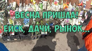 Весна пришла! Ейск, дачи, рынок, Ясенская )))